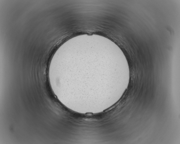 X0000114220360200911061512