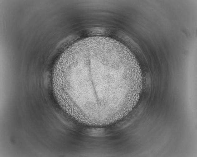 X0000114220361200911061512