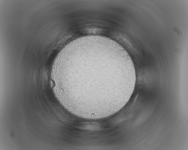 X0000114220363200911061512