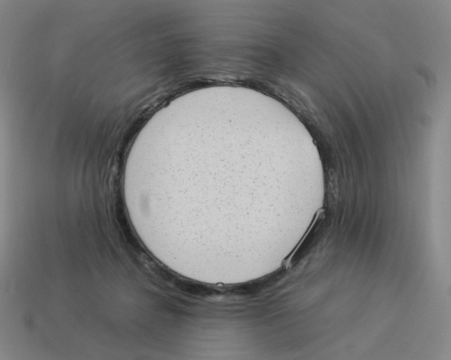 X0000114220364200911061512