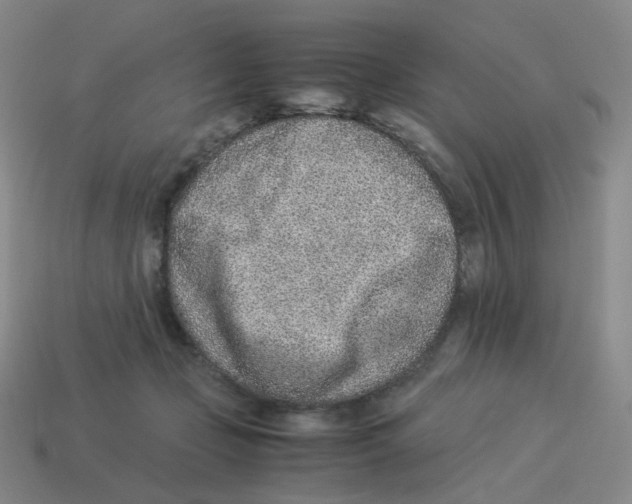 X0000114220365200911061512