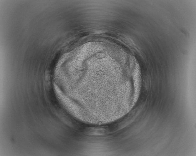 X0000114220366200911061512