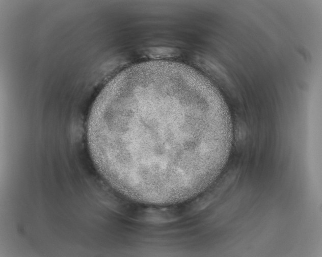 X0000114220367200911061512