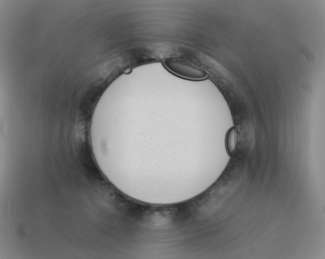 X0000114220368200911061512