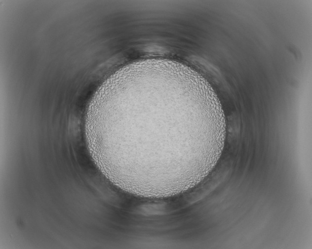 X0000114220369200911061512