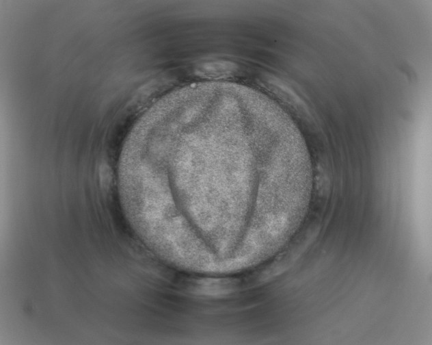 X0000114220371200911061512