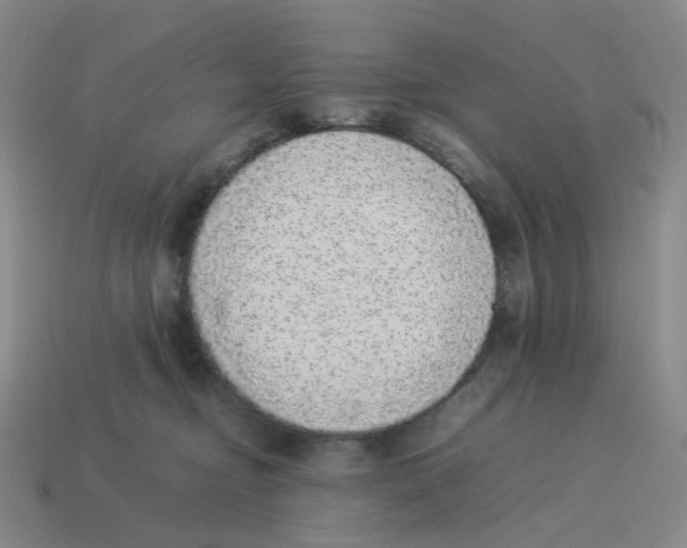 X0000114220374200911061512