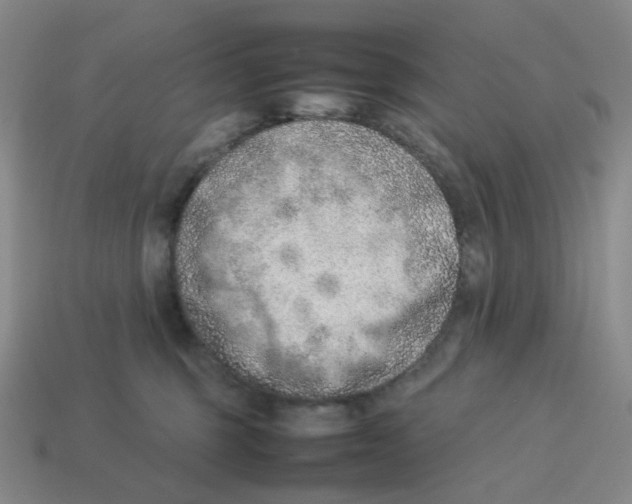 X0000114220375200911061512