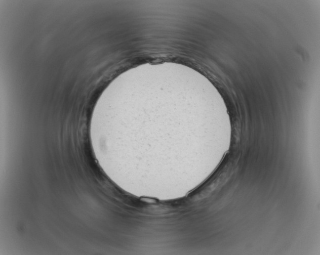 X0000114220376200911061512