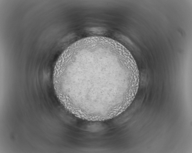 X0000114220377200911061512