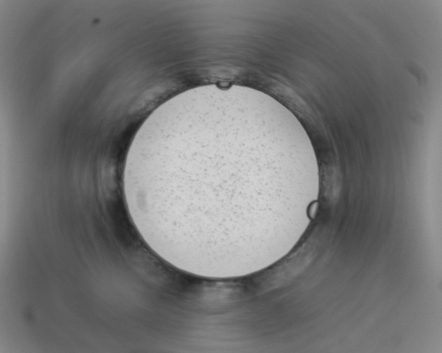 X0000114220378200911061512