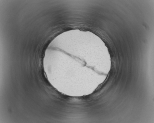 X0000114220380200911061512