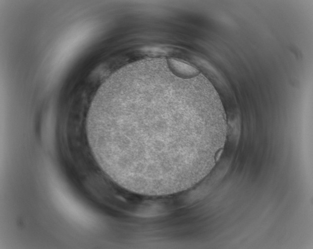 X0000114220381200911061512