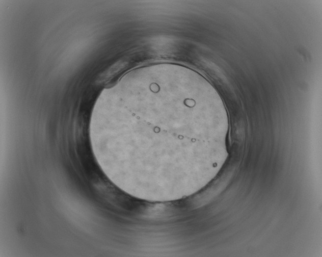 X0000114220382200911061512