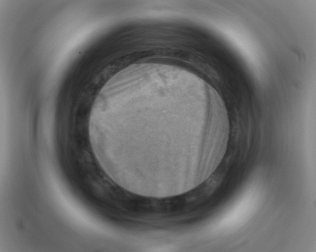 X0000114220383200911061512