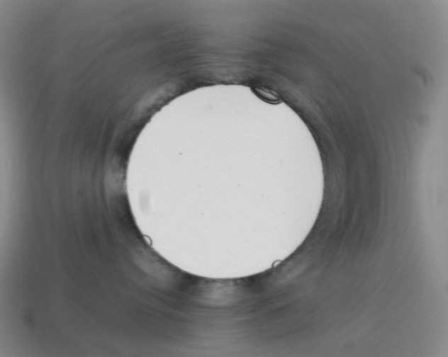 X0000114220384200911061512