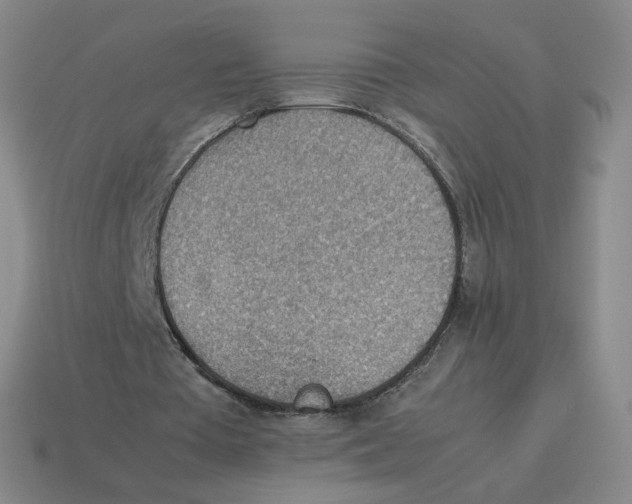 X0000114220385200911061511