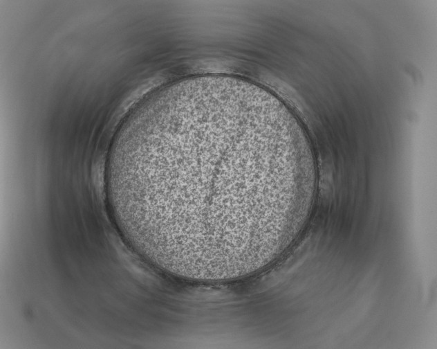 X0000114220386200911061511