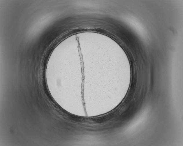 X0000114220387200911061511