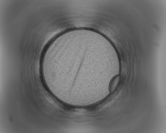 X0000114220391200911061511