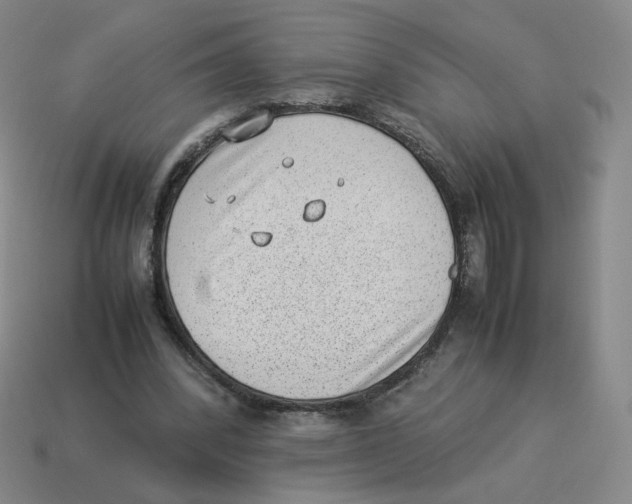 X0000114220392200911061511