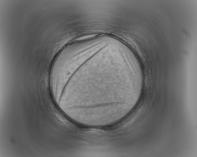 X0000114220393200911061511