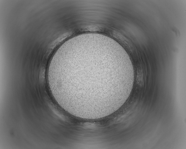 X0000114220394200911061511