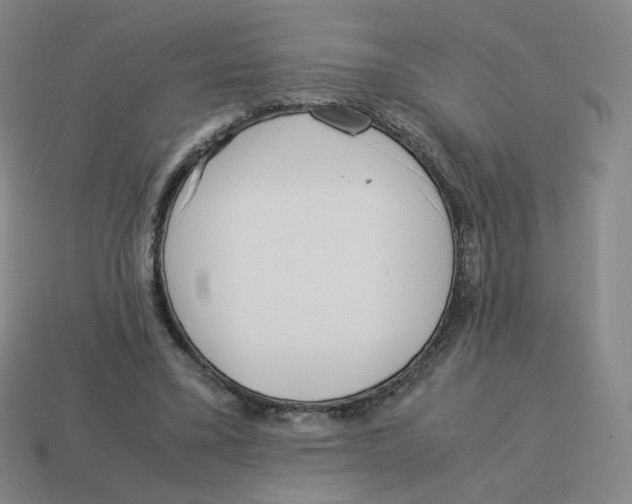 X0000114220395200911061511