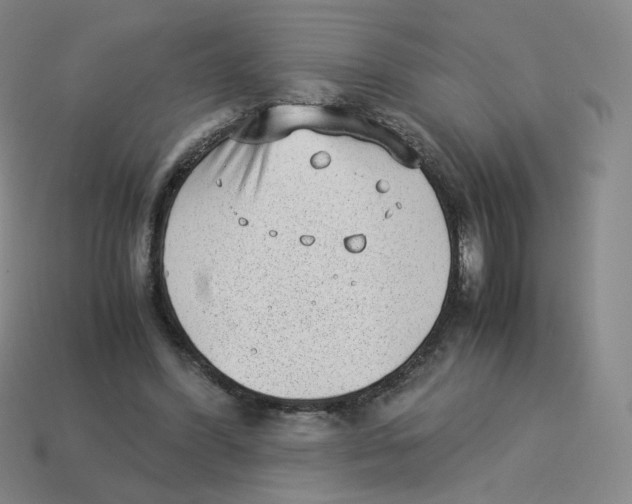 X0000114220396200911061511