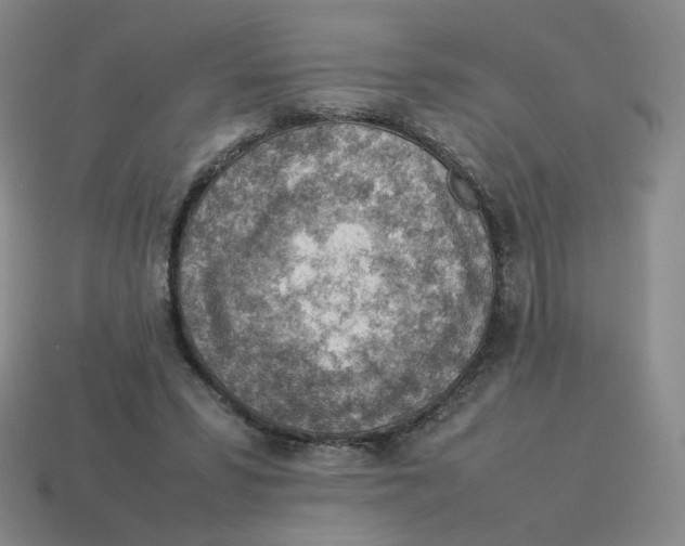 X0000114220399200911061511