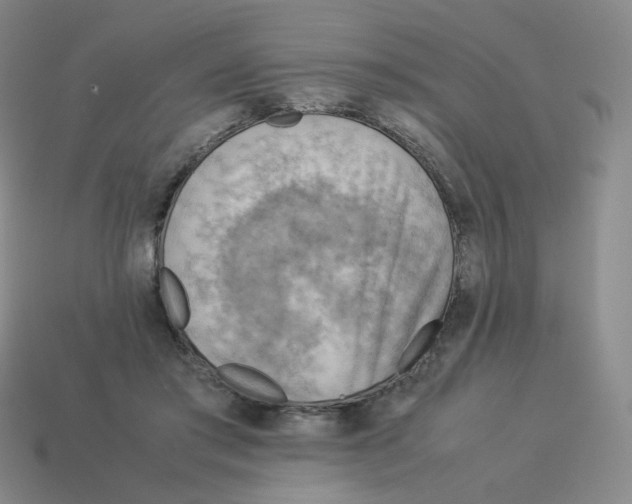 X0000114220405200911061511