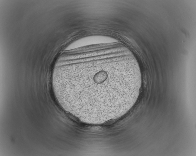 X0000114220409200911061511