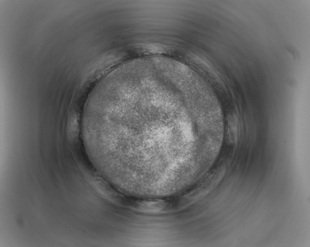 X0000114220410200911061511