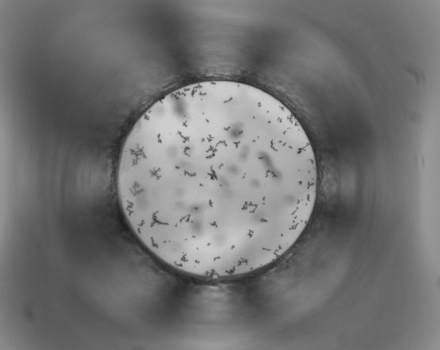 X0000114220411200911061511