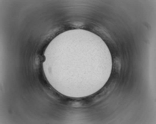 X0000114220412200911061511