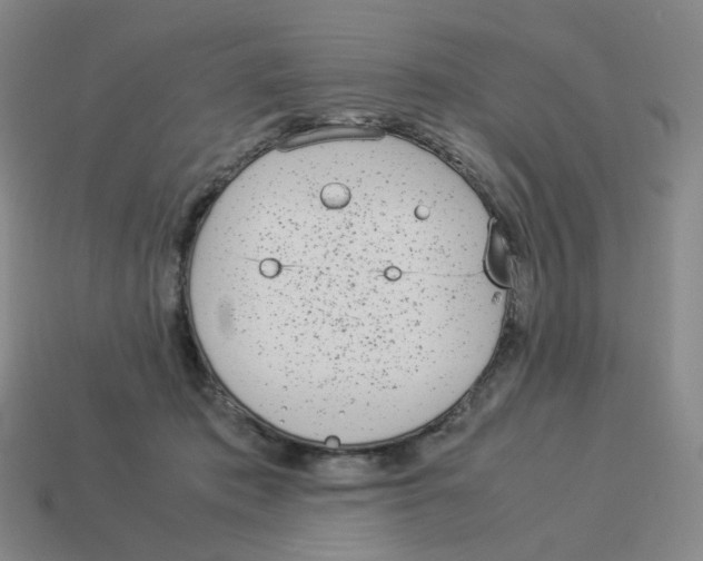 X0000114220413200911061511