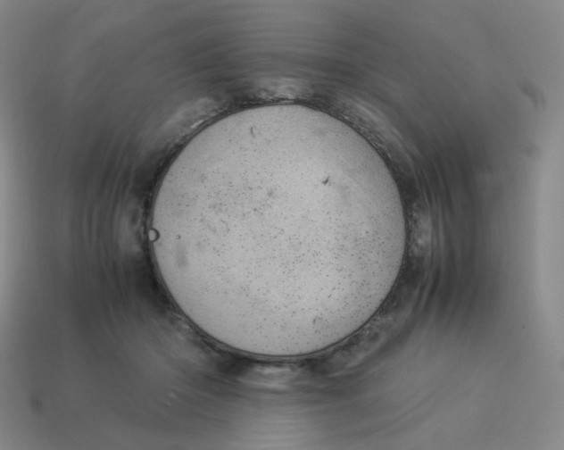 X0000114220414200911061511