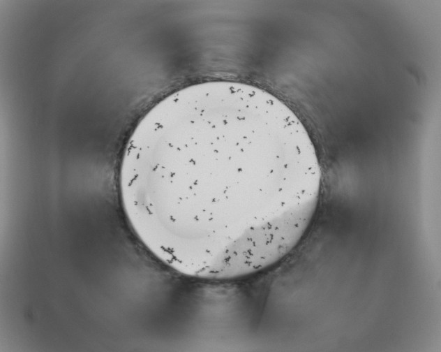 X0000114220415200911061511