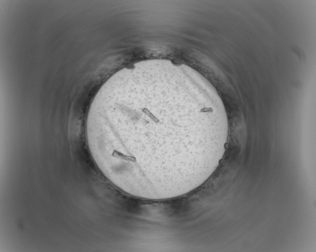 X0000114220417200911061511
