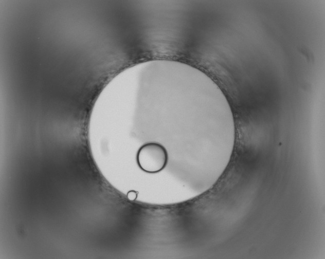 X0000114220419200911061511