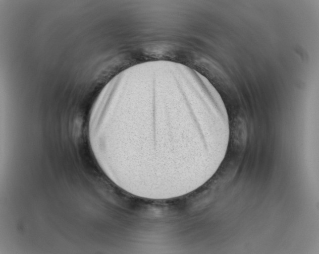 X0000114220420200911061511