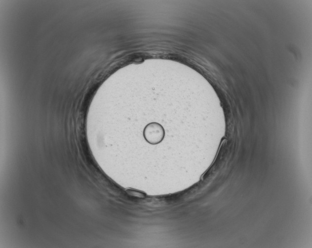 X0000114220421200911061511