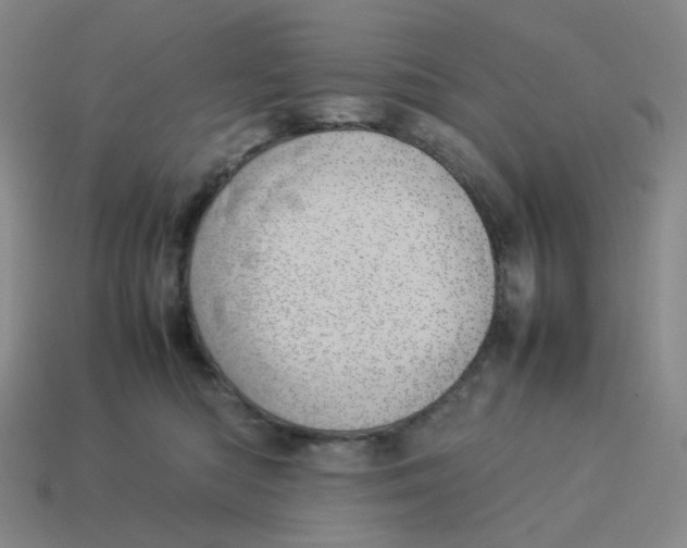 X0000114220422200911061511