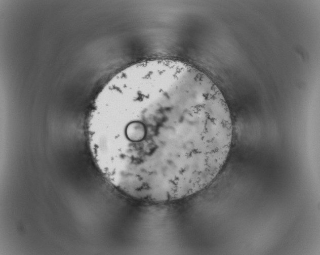 X0000114220423200911061511