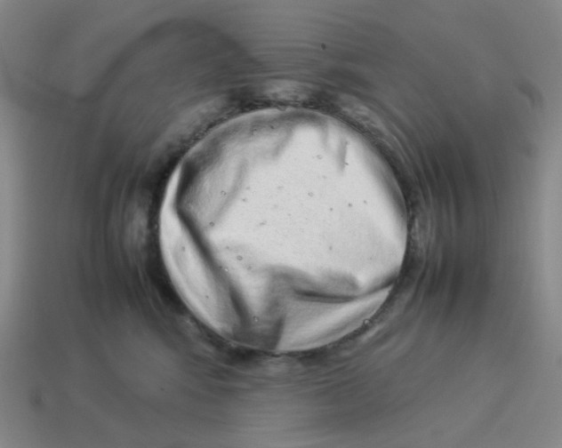 X0000114220424200911061511