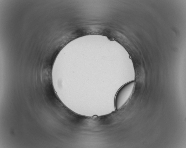 X0000114220425200911061511