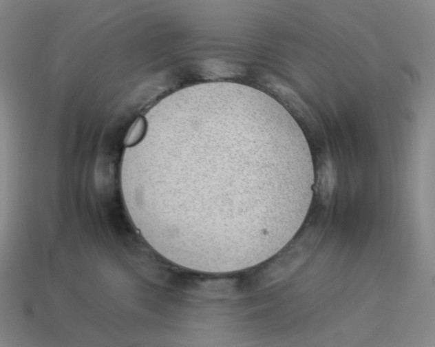 X0000114220426200911061511