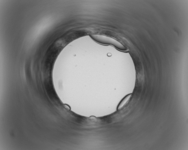 X0000114220429200911061511