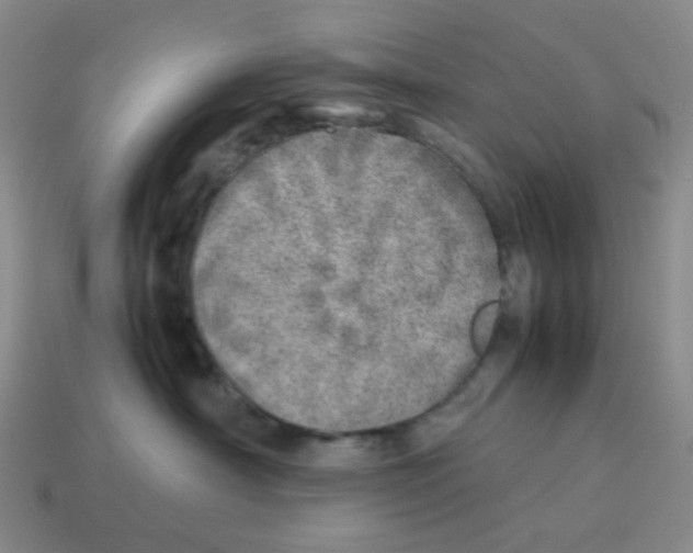 X0000114220430200911061511