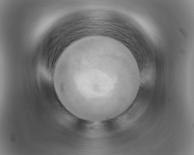 X0000114220431200911061511